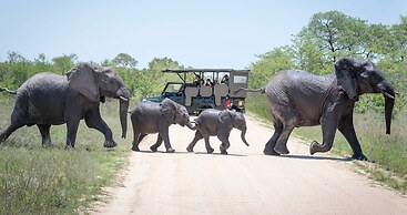 ANEW Resort Hazyview Kruger Park