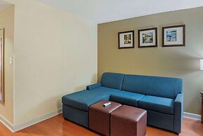 Comfort Suites At Virginia Center Commons