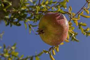 Creta Blue Boutique Hotel