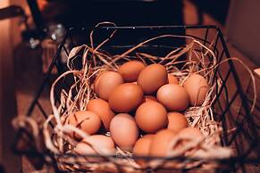 Radisson Blu Aleksanteri Hotel, Helsinki