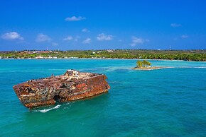 Sol Caribe Sea Flower