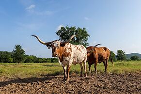 Wildcatter Ranch & Resort