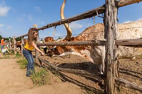 Wildcatter Ranch & Resort