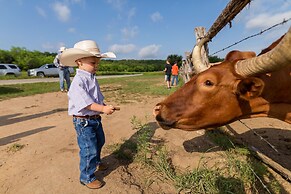 Wildcatter Ranch & Resort