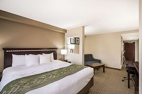 Comfort Suites Forsyth near I-75