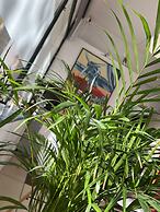 Hôtel Vieille Tour Centre Rouen