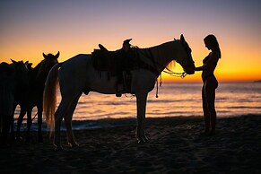 Hotel Riu Palace Pacifico - Adults Only - All Inclusive