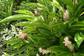 Hexagon International Hotel