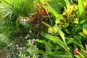 Hexagon International Hotel