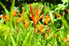 Hexagon International Hotel