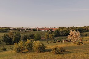 Hotel Château Bela