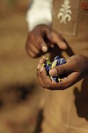 The Westin Turtle Bay Resort & Spa, Mauritius