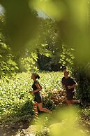 The Westin Turtle Bay Resort & Spa, Mauritius