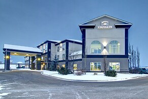 Canalta Camrose