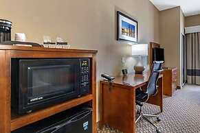 Comfort Suites Near Texas A&M University - Corpus Christi