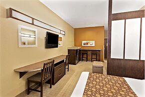 Microtel Inn & Suites by Wyndham Woodstock/Atlanta North