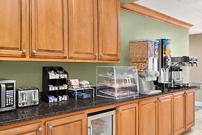 Microtel Inn & Suites by Wyndham Woodstock/Atlanta North