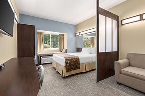 Microtel Inn & Suites by Wyndham Woodstock/Atlanta North
