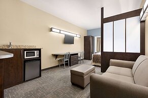 Microtel Inn & Suites by Wyndham Woodstock/Atlanta North