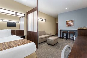 Microtel Inn & Suites by Wyndham Woodstock/Atlanta North