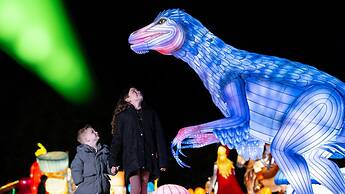 Crowne Plaza Hotel Blanchardstown by IHG