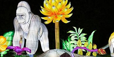 Crowne Plaza Hotel Blanchardstown by IHG