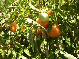 Agroturismo Son Siurana