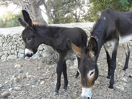 Agroturismo Son Siurana