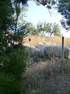 Agroturisme Perola - Adults Only