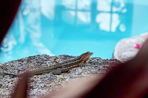 Hotel Albemarle Galapagos Beachfront