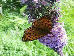 Agriturismo Al Marnich