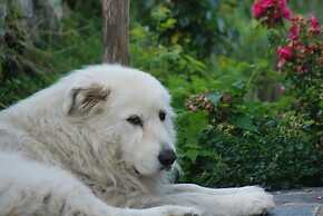 Agriturismo Al Marnich