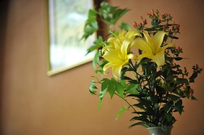 Kyoto Watazen Ryokan