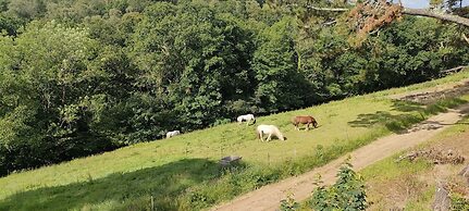 Great Trethew Manor Hotel & Restaurant