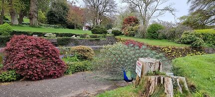 Great Trethew Manor Hotel & Restaurant