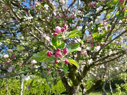 Great Trethew Manor Hotel & Restaurant