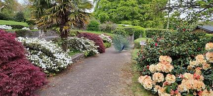 Great Trethew Manor Hotel & Restaurant