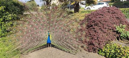 Great Trethew Manor Hotel & Restaurant