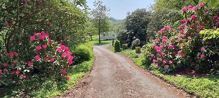 Great Trethew Manor Hotel & Restaurant