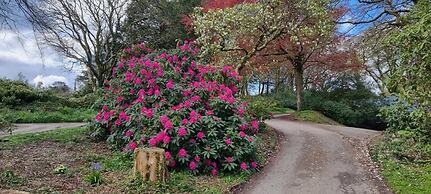 Great Trethew Manor Hotel & Restaurant