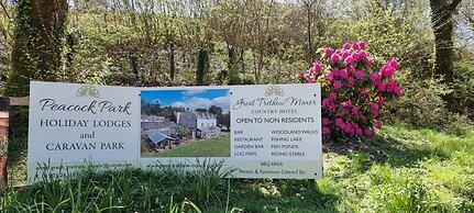 Great Trethew Manor Hotel & Restaurant