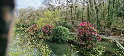 Great Trethew Manor Hotel & Restaurant