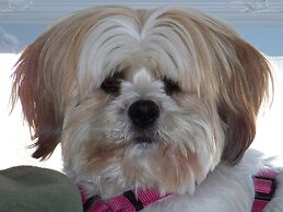 Hotel Faubourg Montreal