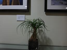 Super 8 by Wyndham Peterborough