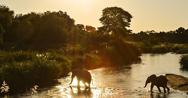 Lion Sands Tinga Lodge