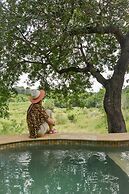 Lion Sands Tinga Lodge