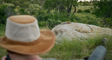 Lion Sands Tinga Lodge