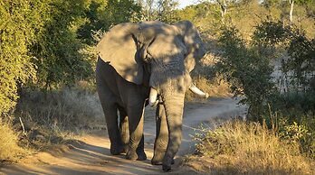 Lion Sands Tinga Lodge