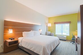 Holiday Inn Express & Suites Tampa USF Busch Gardens by IHG