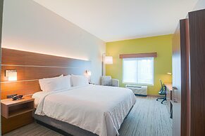 Holiday Inn Express & Suites Tampa USF Busch Gardens by IHG